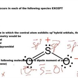 Apes summer assignment answer key