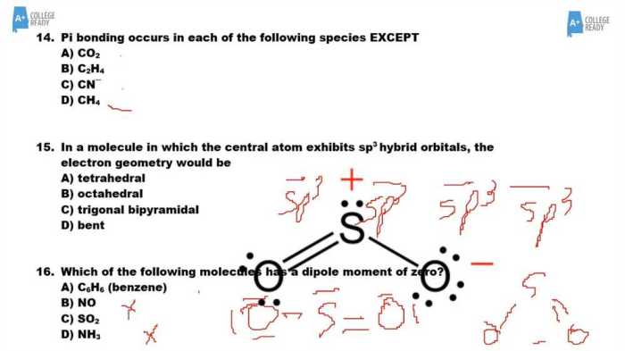 Apes summer assignment answer key