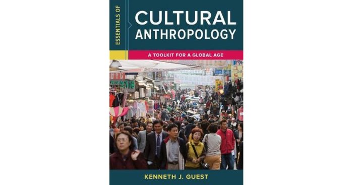 Essentials of cultural anthropology: a toolkit for a global age