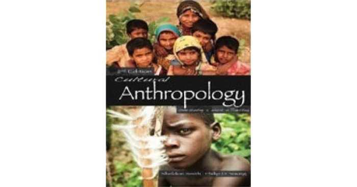 Essentials of cultural anthropology: a toolkit for a global age