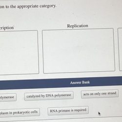 Classify each description to the appropriate category