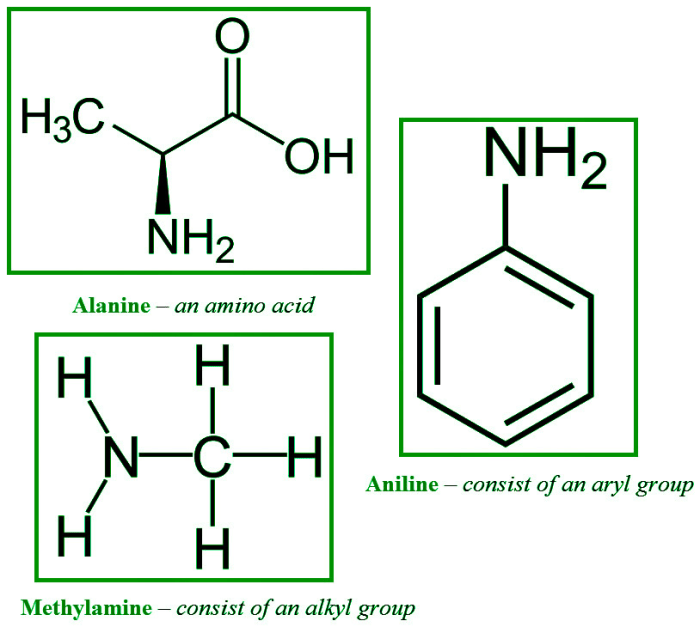 Amine chemistry amines funkcionalna skupina amin gruppe funktionel secundair