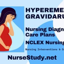 Gravidarum hyperemesis rcog embeds algorithm