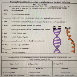 Dna rna and protein synthesis worksheet answers