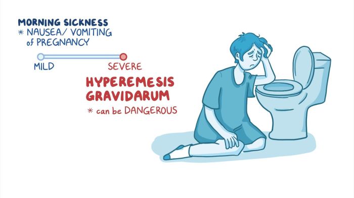 Nursing management of hyperemesis gravidarum ppt